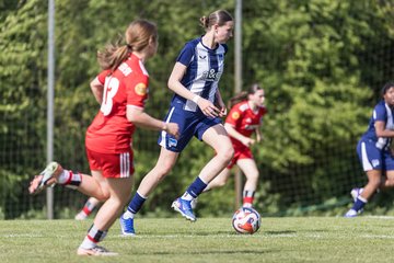 Bild 442 - wBJ Hamburger SV - Hertha BSC : Ergebnis: 5:2